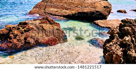 Shutterstock Puzzlepix