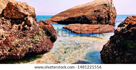 Shutterstock Puzzlepix