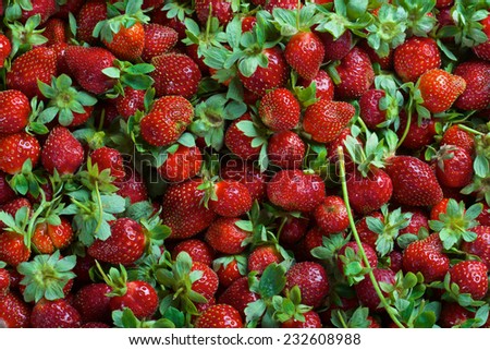 Seamless texture of juicy strawberries as a background