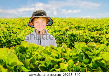 Young toddler boy in funny hat picking strawberries on strawberry field on asunny day with white clouds