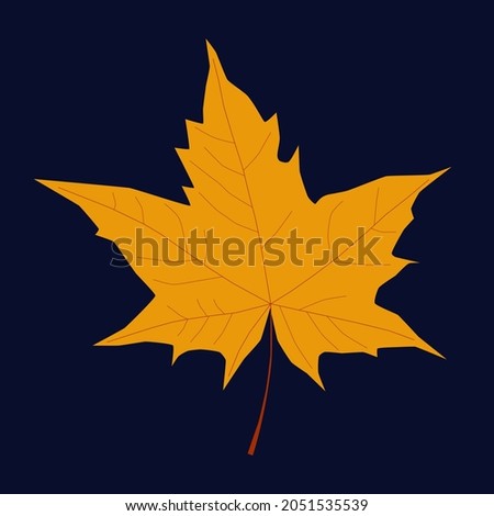 Realistic bright yellow orange maple leaf isolated on dark blue background. Vector illustration. Autumn is here. Fall season. Fallen golden leaves. Ecology concept. Environment conservation. October.