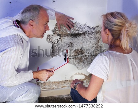 a pest control contractor or exterminator with a blonde female customer at a mold destroyed wall and explain her the problem and the plan whats to do against mold pests and bugs for hygienic 商業照片 © 