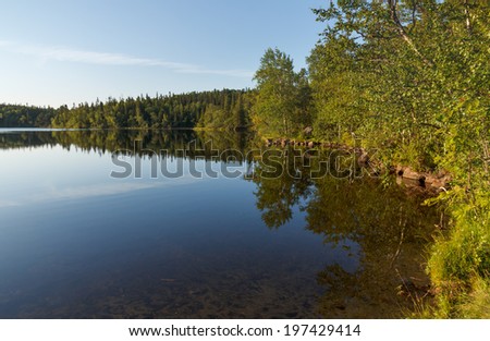 Forest lake in the Russian north summer evening