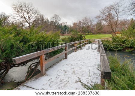 Landscape with the first snow on a wooden bridge across the pond in the Japanese garden