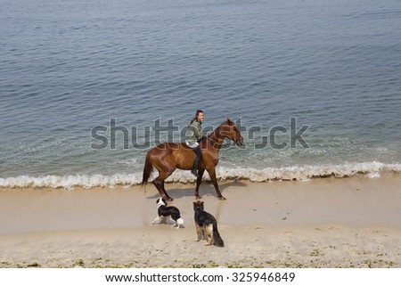 BAIONA, GALICIA, SPAIN - AUGUST 26: young woman riding a horse with her dogs at the beach, on August 26, 2015 in Baiona, Galicia, Spain
