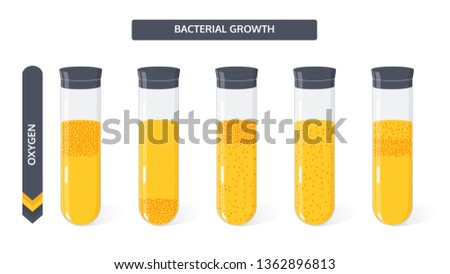 Growth of bacteria colony in the culture medium in the glass vial from the amount of oxygen. Microbiology vector concept. 