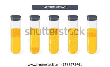 Microbiology vector concept. Growth of colony of bacteria in medical test tubes.