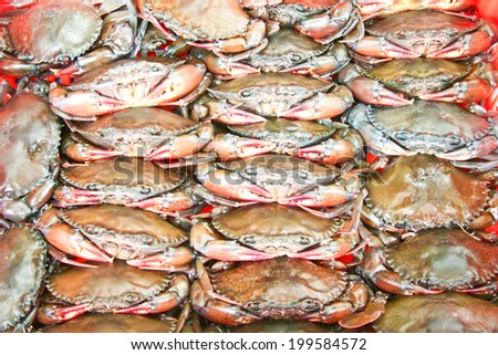Group of soft shell crab