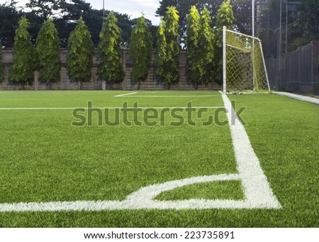 football pitch, goal on artificial grass