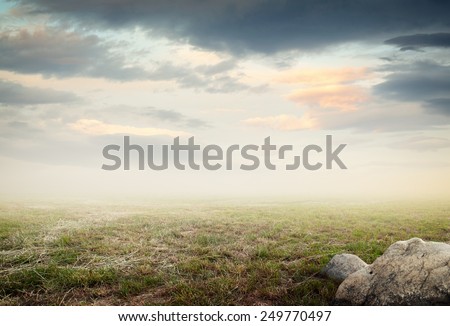 Simple beautiful surreal landscape with grass and ground on misty background