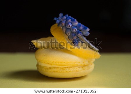 Gourmet small colorful French macarons with lemon flavor on dark background.