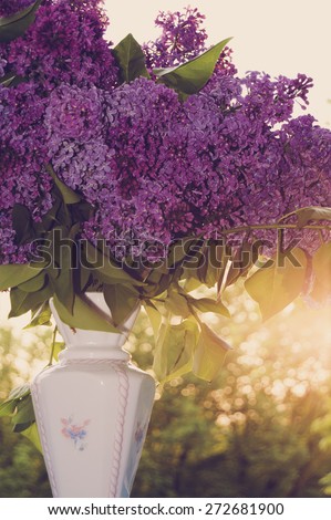 Lilac in a Vase in sunset light