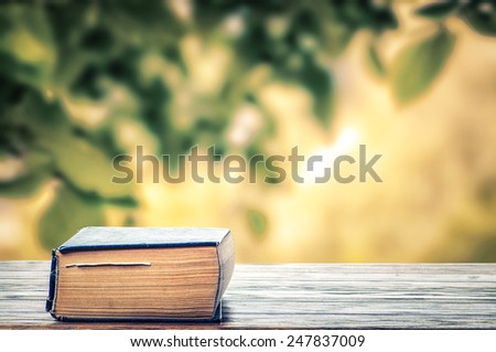 The book left in the garden