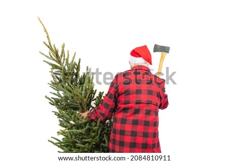 Similar – Image, Stock Photo christmas tree Tannenbaum