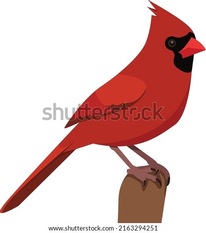 Flat design vector of Northern Cardinal perch on a branch