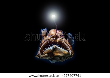 Deep-Sea Stingray