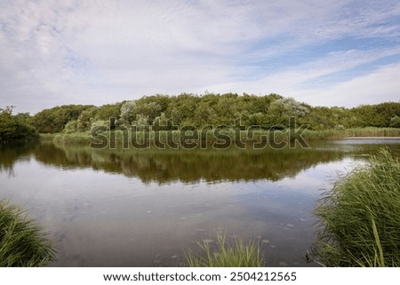 Similar – Image, Stock Photo Seaside on cloudy day