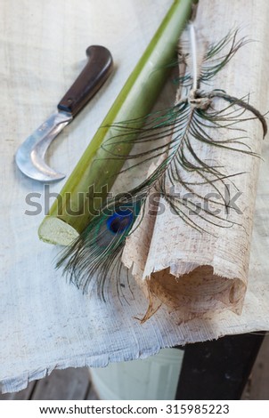 Rolled up papyrus paper leaf, a cut section of the plant, a colored quill pen and the typical working knife laid on a papyrus layer