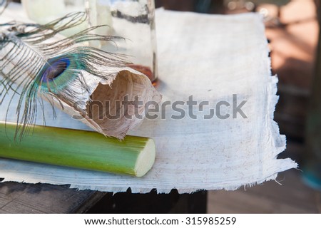 Rolled up papyrus paper leaf, a cut section of the plant and a typical quill pen laid on a papyrus layer