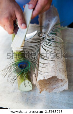 Rolled up papyrus paper leaf, a cut section of the plant, a colored quill pen on a papyrus layer while an artisan is making thin strips from the stem