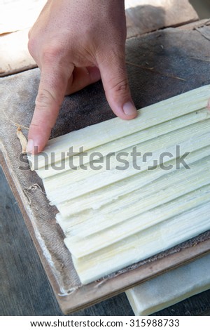 Artisan of the papyrus paper in Syracuse superimposing perpendicularly long thin strips obtained from the stem of the plant