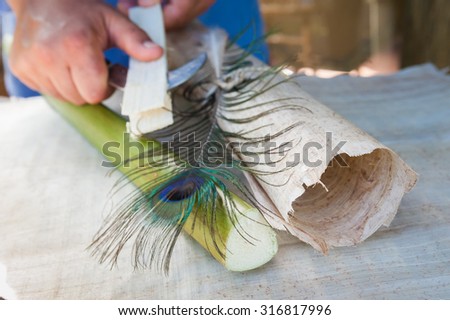 Rolled up papyrus paper leaf, a cut section of the plant, a colored quill pen on a papyrus layer while an artisan is making thin strips from the stem