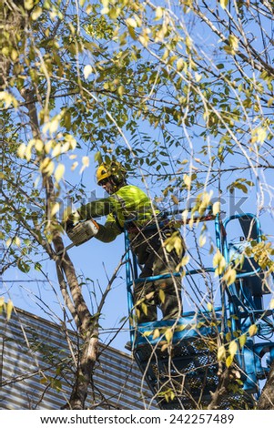 Barcelona, Spain - December 19, 2014: A maintenance worker parks and gardens pruning the branches of a tree with a chain saw to a raised platform in the old town of Barcelona