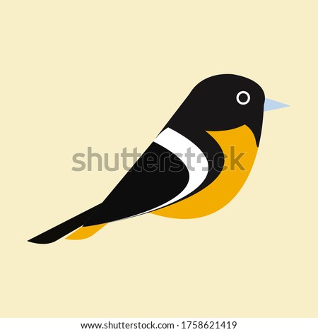 Baltimore Oriole Bird Flat Design Vector Illustration. Bird Logo