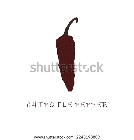 chipotle pepper flat design vector illustration