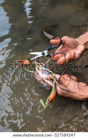 Man hand holding a crab try to leave cut off net.