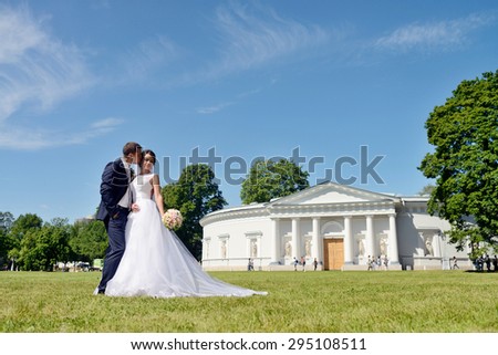 Wedding couple on the nature is hugging each other. Beautiful model girl in white dress. Man in suit. Beauty bride with groom. Female and male portrait. Woman with lace veil. Lady and guy outdoors