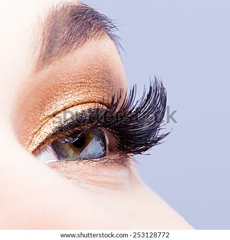 Female eye with long eyelashes closeup shot