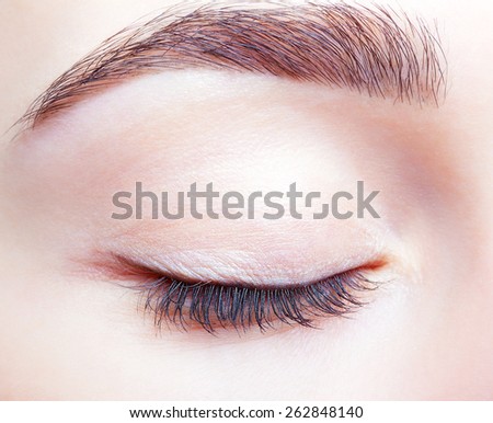 Closeup shot of female closed eye and brows with day makeup