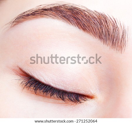 Closeup shot of female closed eye and brows with day makeup