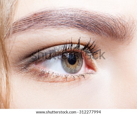 Close-up shot of female eye makeup