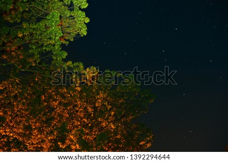 Similar – Image, Stock Photo lit tree at night in autumn