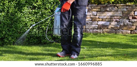 weedicide spray on the weeds in the garden. spraying pesticide with portable sprayer to eradicate garden weeds in the lawn. Pesticide use is hazardous to health. Weed control concept. weed killer.  Foto d'archivio © 