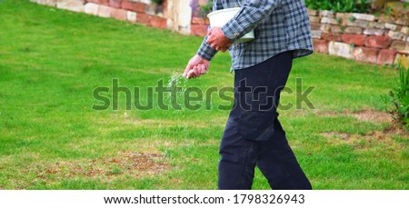 panoramic view of one Man, farmer is fertilizing the lawn soil. male hand of worker, Fertilizer For Lawns in springtime for the perfect lawn. Organic lawn fertilizer in man's hand on garden background