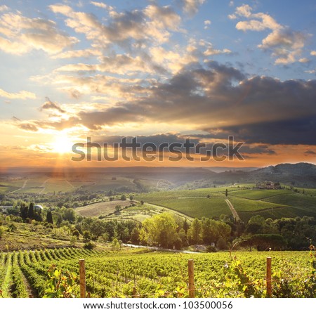 Similar – Image, Stock Photo Way to the vineyards with tree