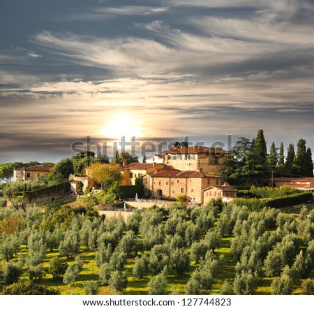 Similar – Image, Stock Photo Tuscan hill with sunflowers in blossom and typical farmhouse