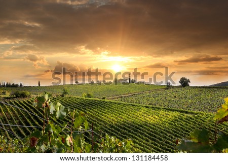 Similar – Image, Stock Photo Way to the vineyards with tree