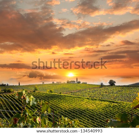 Similar – Image, Stock Photo Tuscan hill with sunflowers in blossom and typical farmhouse