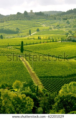 Similar – Image, Stock Photo Way to the vineyards with tree