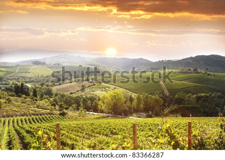 Similar – Image, Stock Photo Tuscan hill with sunflowers in blossom and typical farmhouse