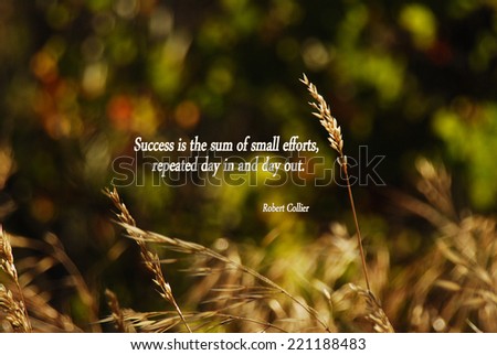 An inspirational quote about success by Robert Collier.