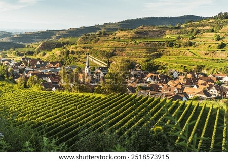 Similar – Foto Bild Kaiserstuhl Natur