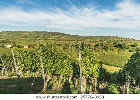 Similar – Foto Bild Kaiserstuhl Natur