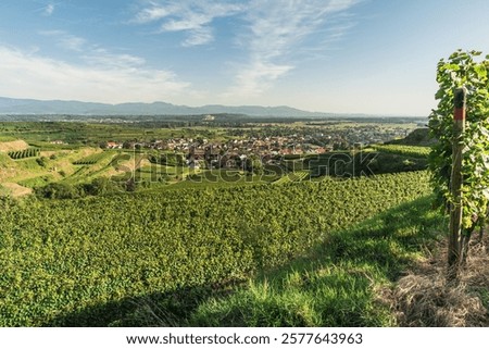 Similar – Foto Bild Kaiserstuhl Natur