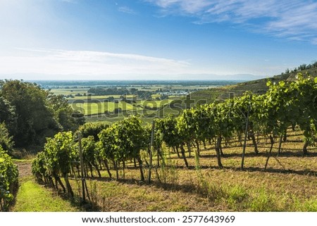 Similar – Foto Bild Kaiserstuhl Natur