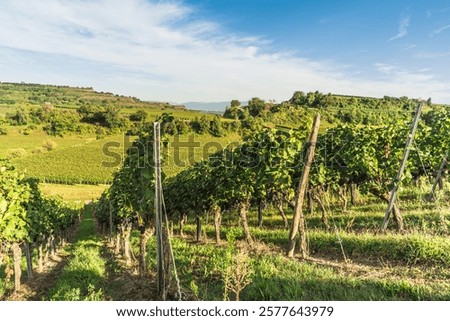 Similar – Foto Bild Kaiserstuhl Natur